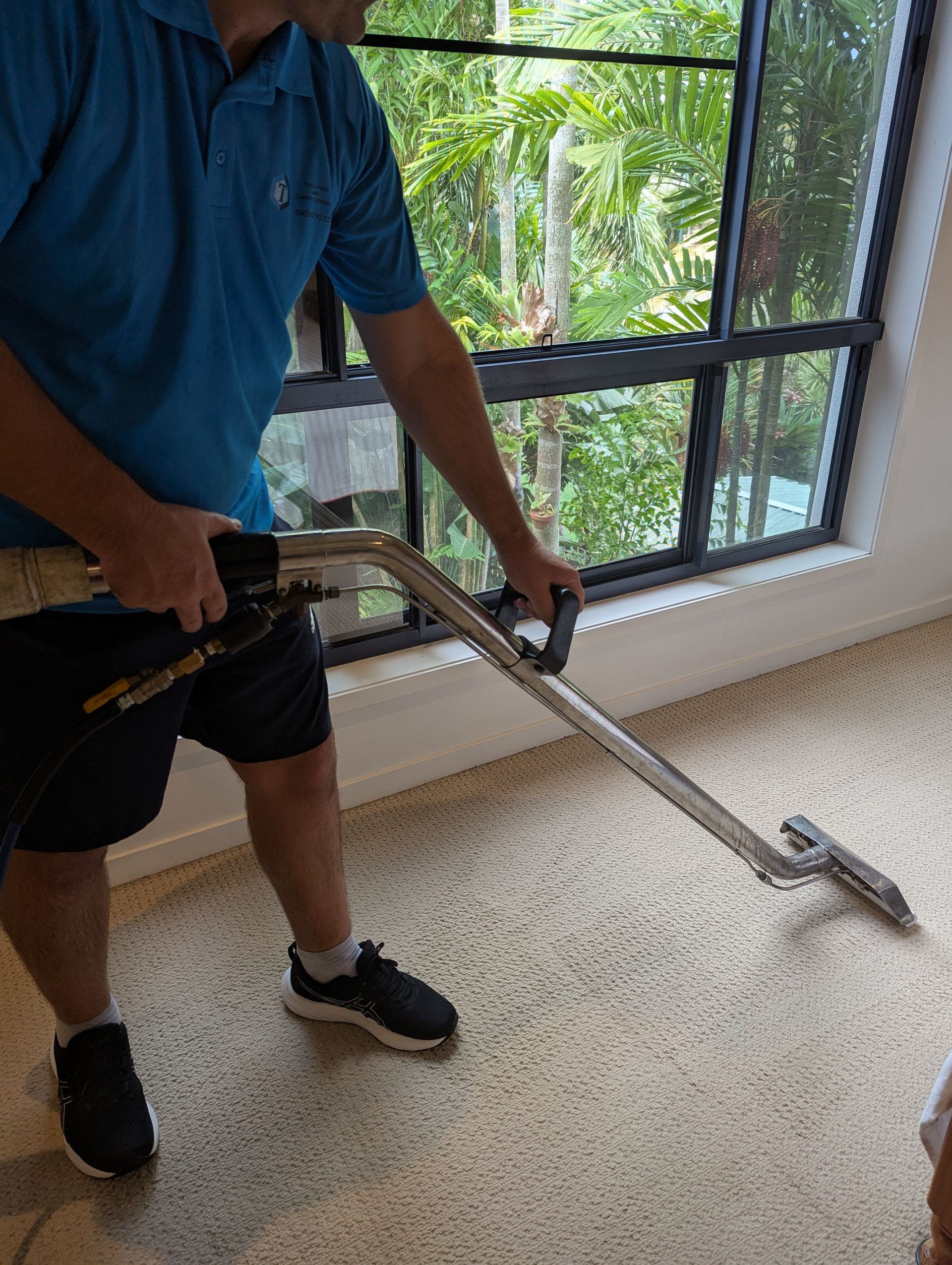 A Person is Using a Vacuum Cleaner to Clean a Carpet — Total Pest and Carpet Cleaning in Kinka Beach, QLD