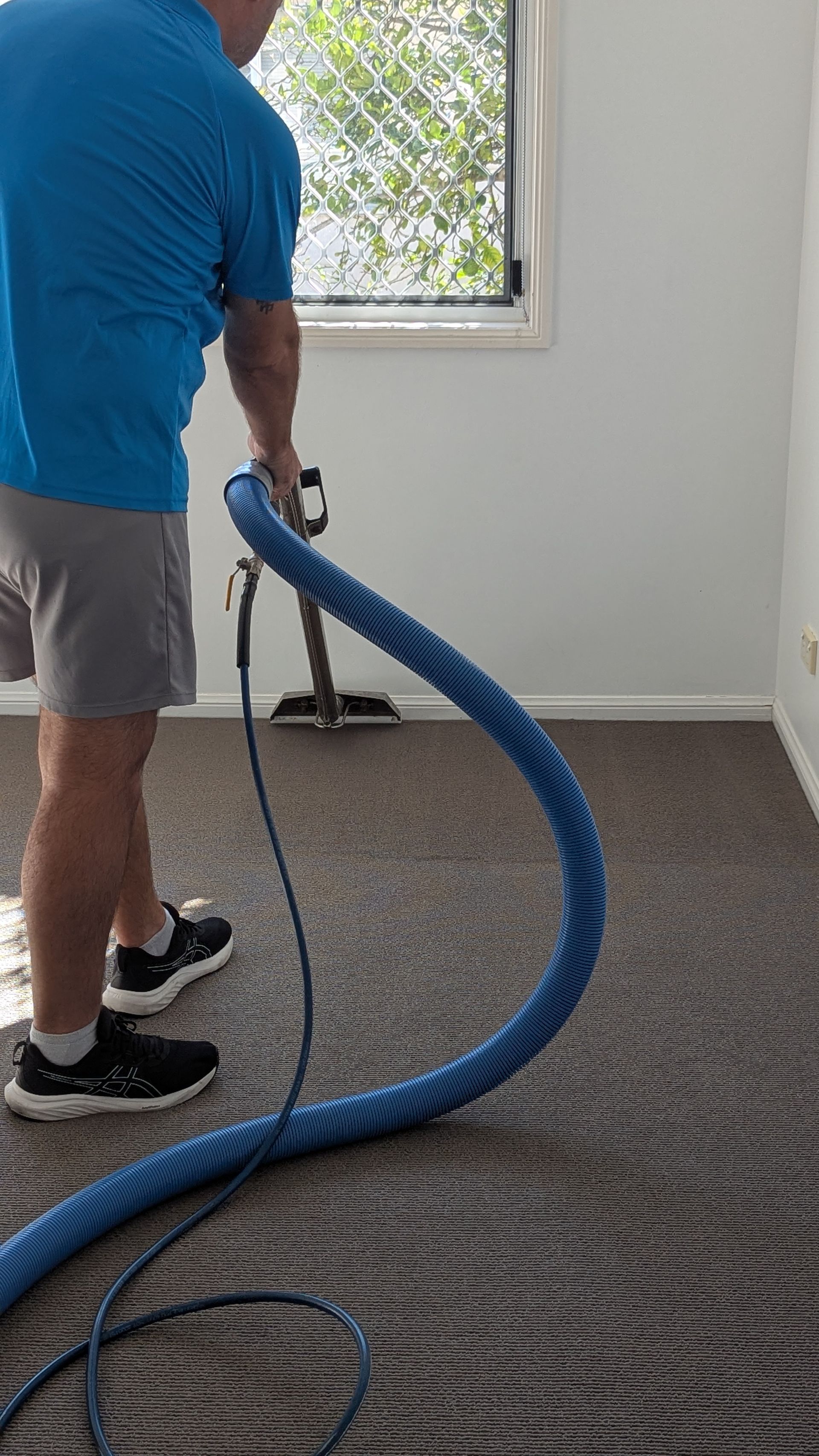 A Vacuum Cleaner is Being Used to Clean a Carpet — Total Pest and Carpet Cleaning in Kinka Beach, QLD