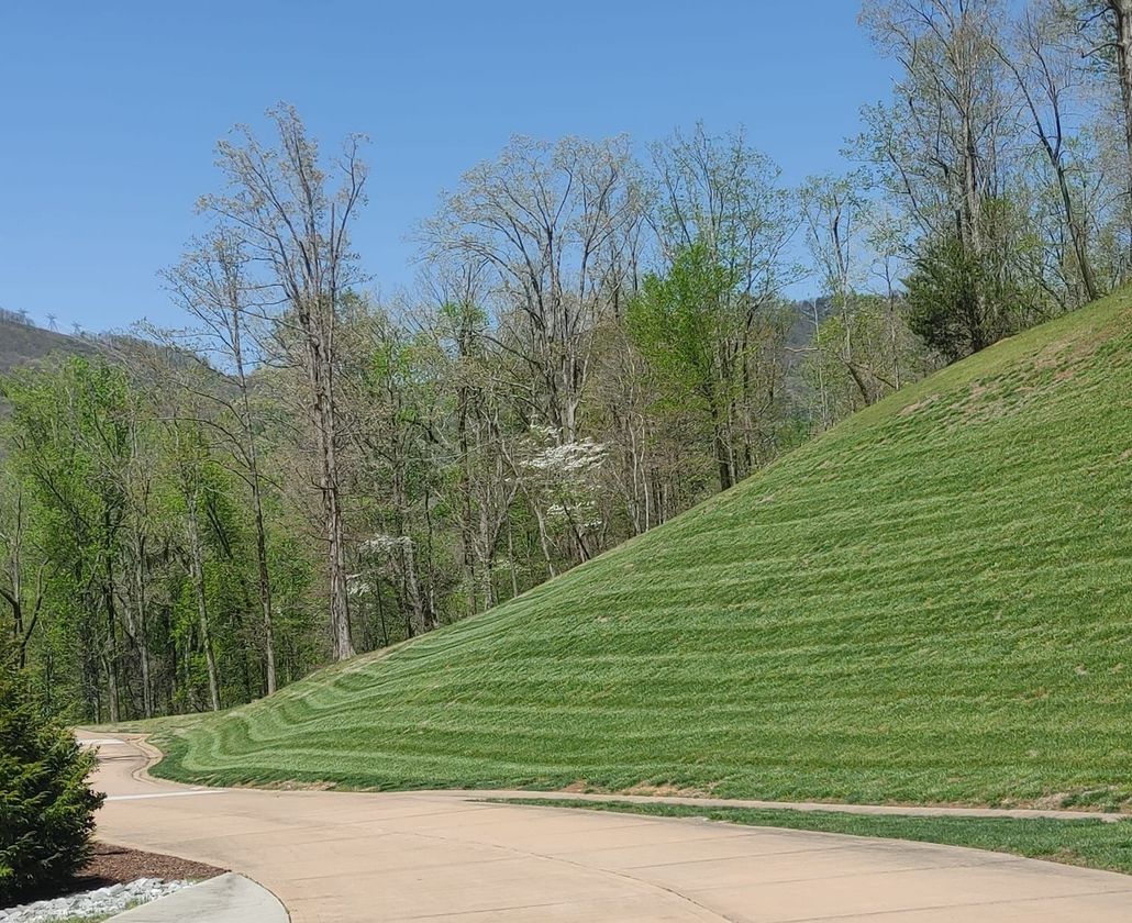 About Rashaad's Exotic Landscaping LLC in Chattanooga, TN