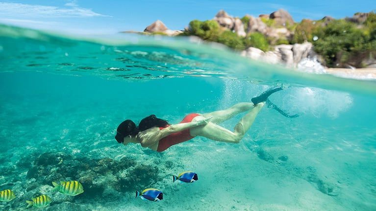 Woman snorkeling in clear turquoise water, with fish and a beach in the background.