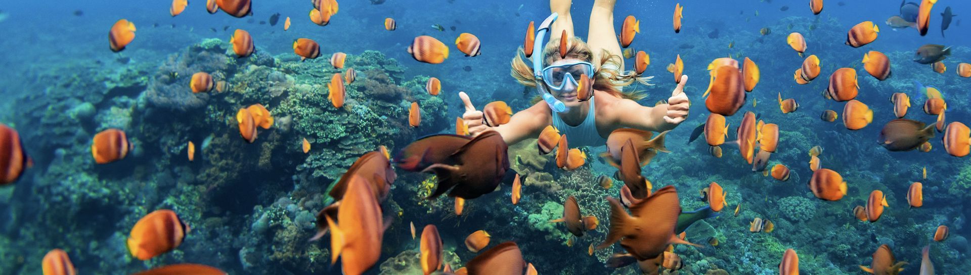 A person snorkeling underwater, giving two thumbs up surrounded by orange and yellow fish.