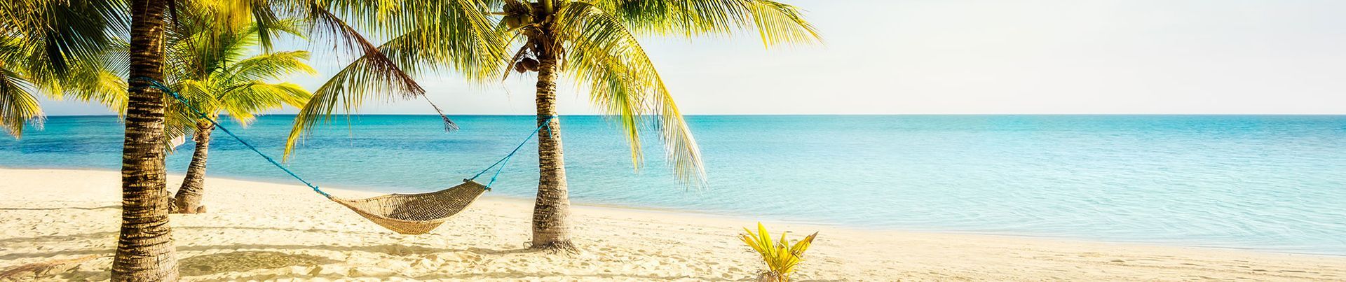 Palm trees on a sandy beach with a hammock, clear blue water, and a bright sky.