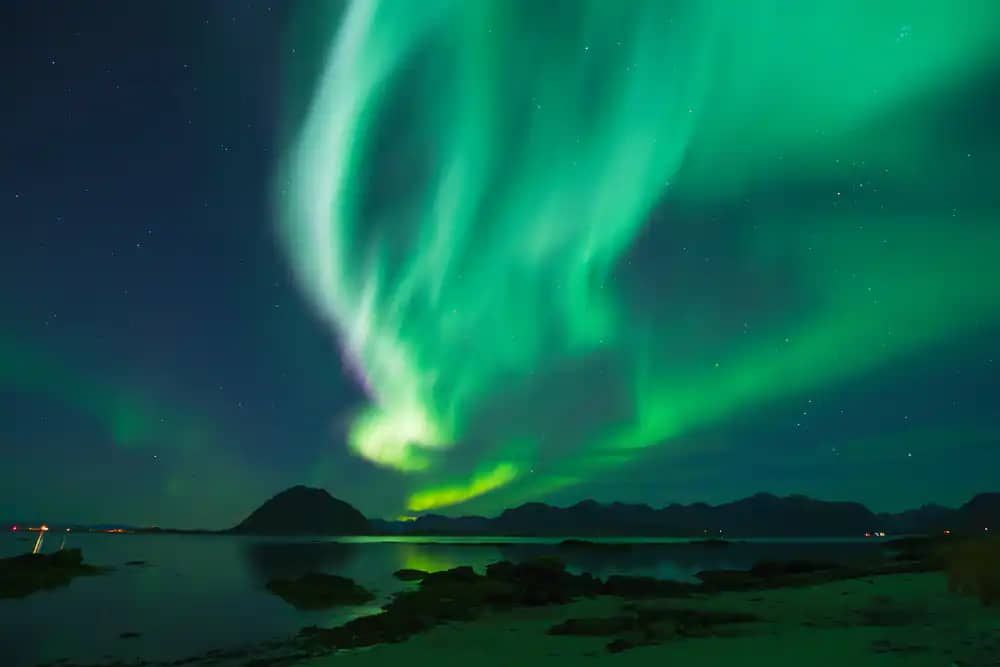 Green aurora borealis dances over a calm ocean, with rocky shoreline and mountains in the background.