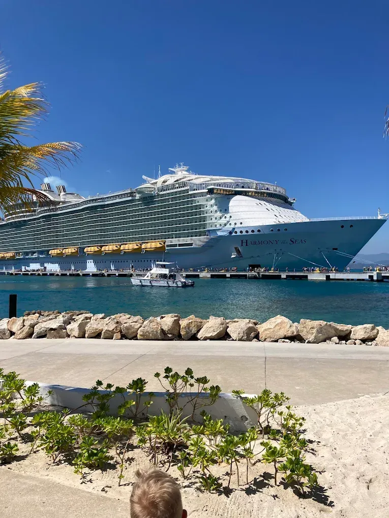 Large cruise ship docked at a pier on a sunny day. Blue sky, water, and some greenery in the foreground.