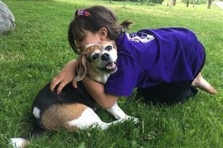 beagle-being-hugged-by-little