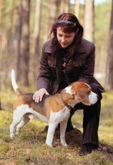 Beagle with owner in the woods