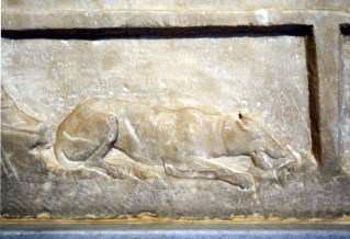 ancient Greek dog