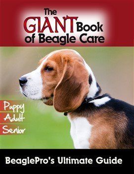 Beagle book eBook option