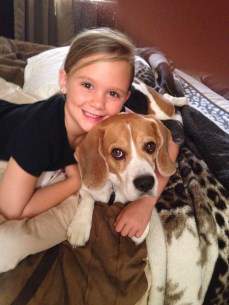 Beagle with young girl