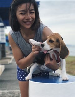 Beagle with young girl