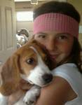 10 month old Beagle Lucy