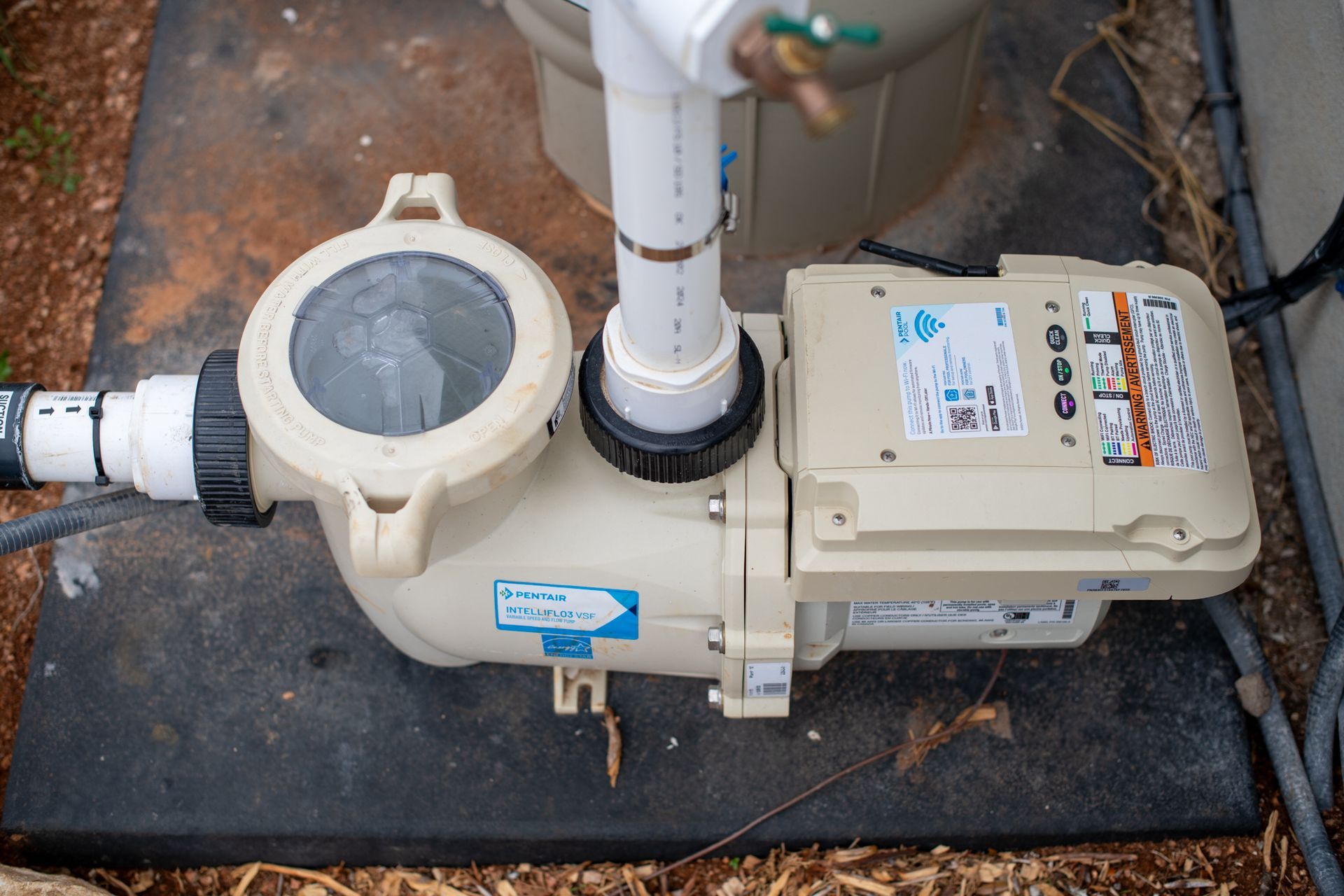 A beige pool pump with a clear lid and plumbing connections, installed on a black equipment pad outdoors.