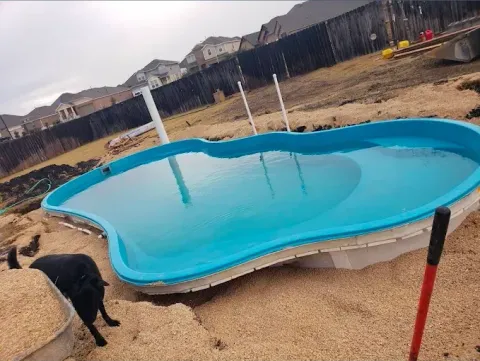 A blue, kidney-shaped swimming pool sits in a dirt-filled backyard during construction, with a black dog nearby.