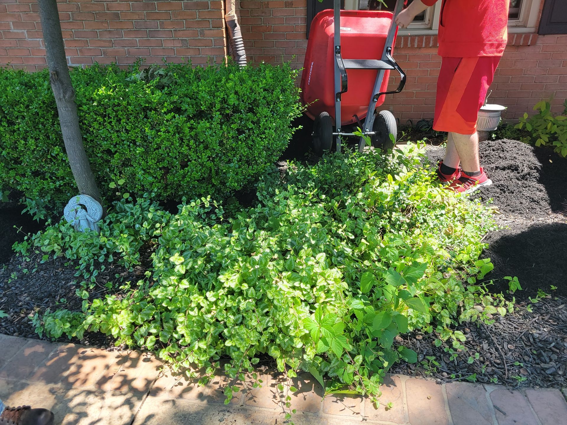 Person Holding Wheelbarrow - Alliance, OH - A & A Lawnworks
