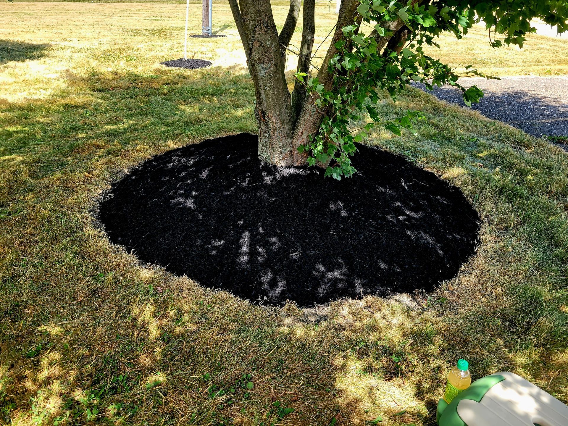 Mulching Tree - Alliance, OH - A & A Lawnworks