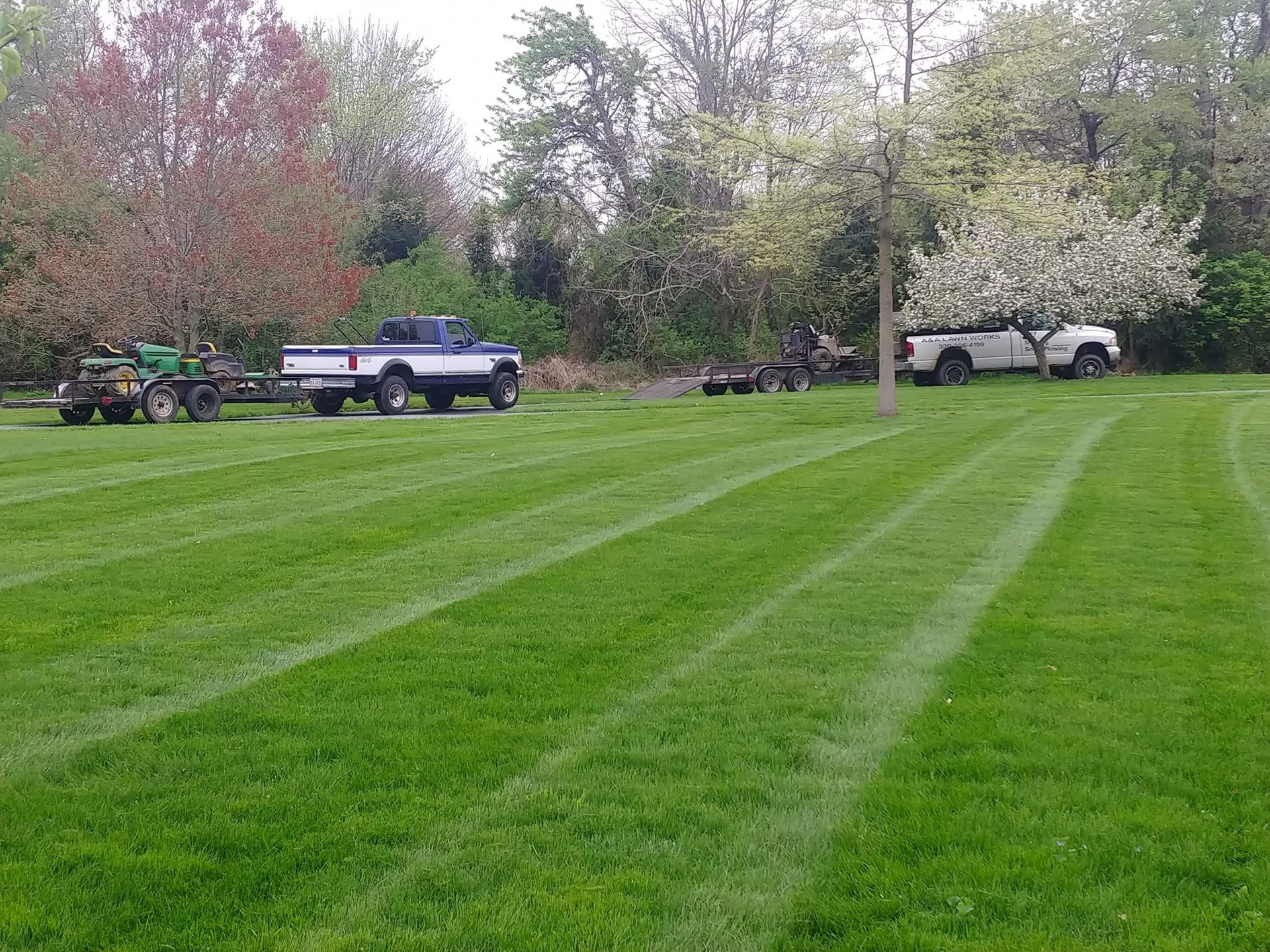 Cars Under Trees - Alliance, OH - A & A Lawnworks