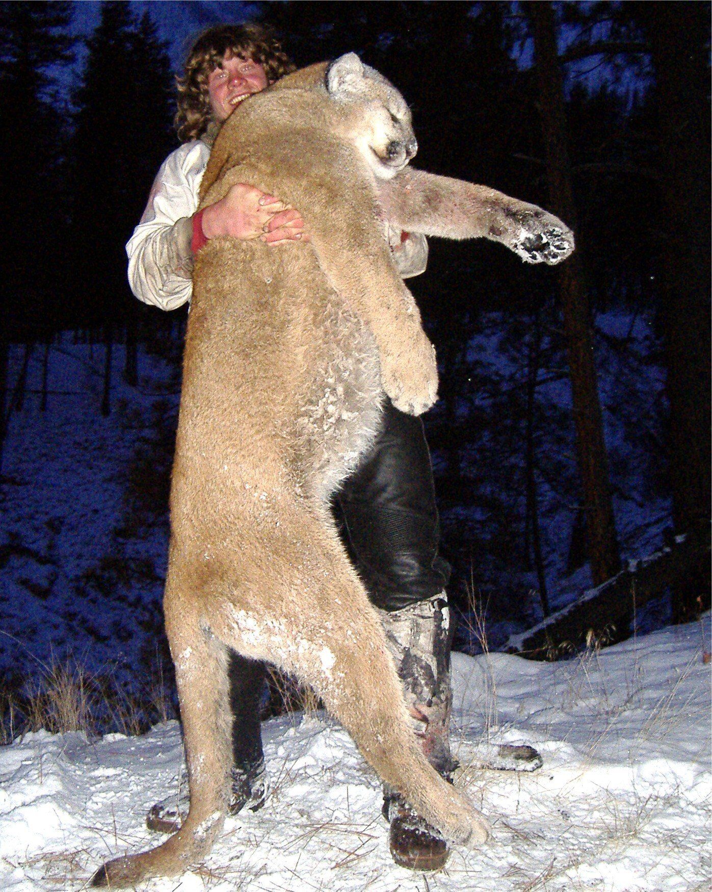 Idaho Mountain Lion Hunting, Idaho Mountain Lion Hunt, Elk Springs Outfitters Hunting Guide Service