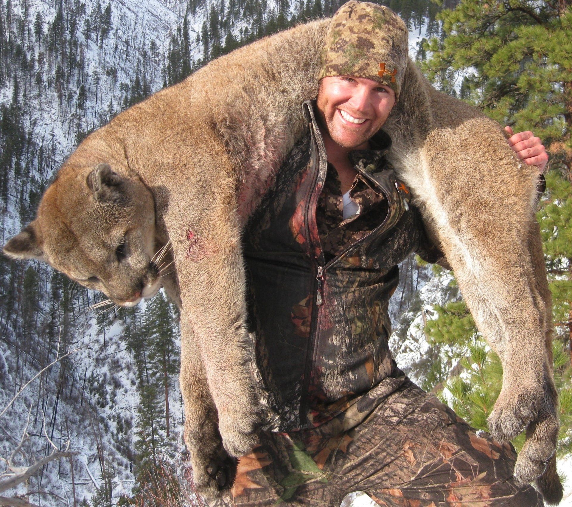 Mountain Lion Hunting Outfitter, Idaho, Mountain Lion Hunt