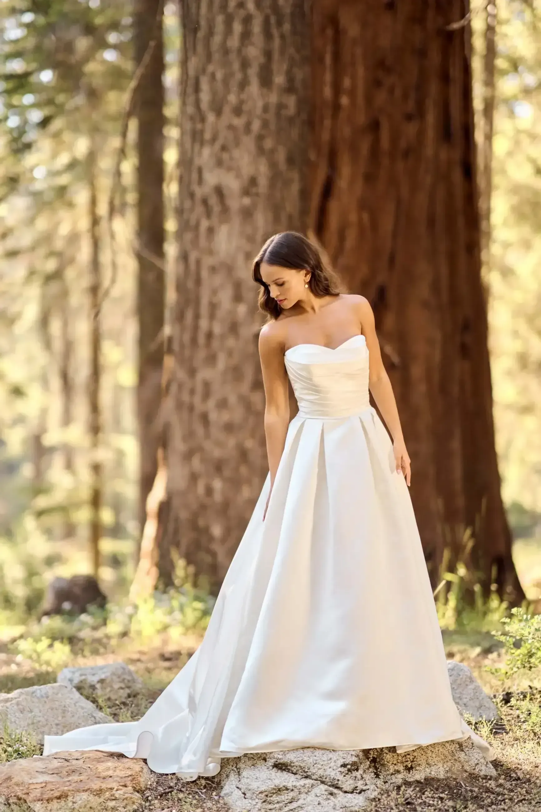 Woman in white strapless wedding dress stands among giant trees in a forest.