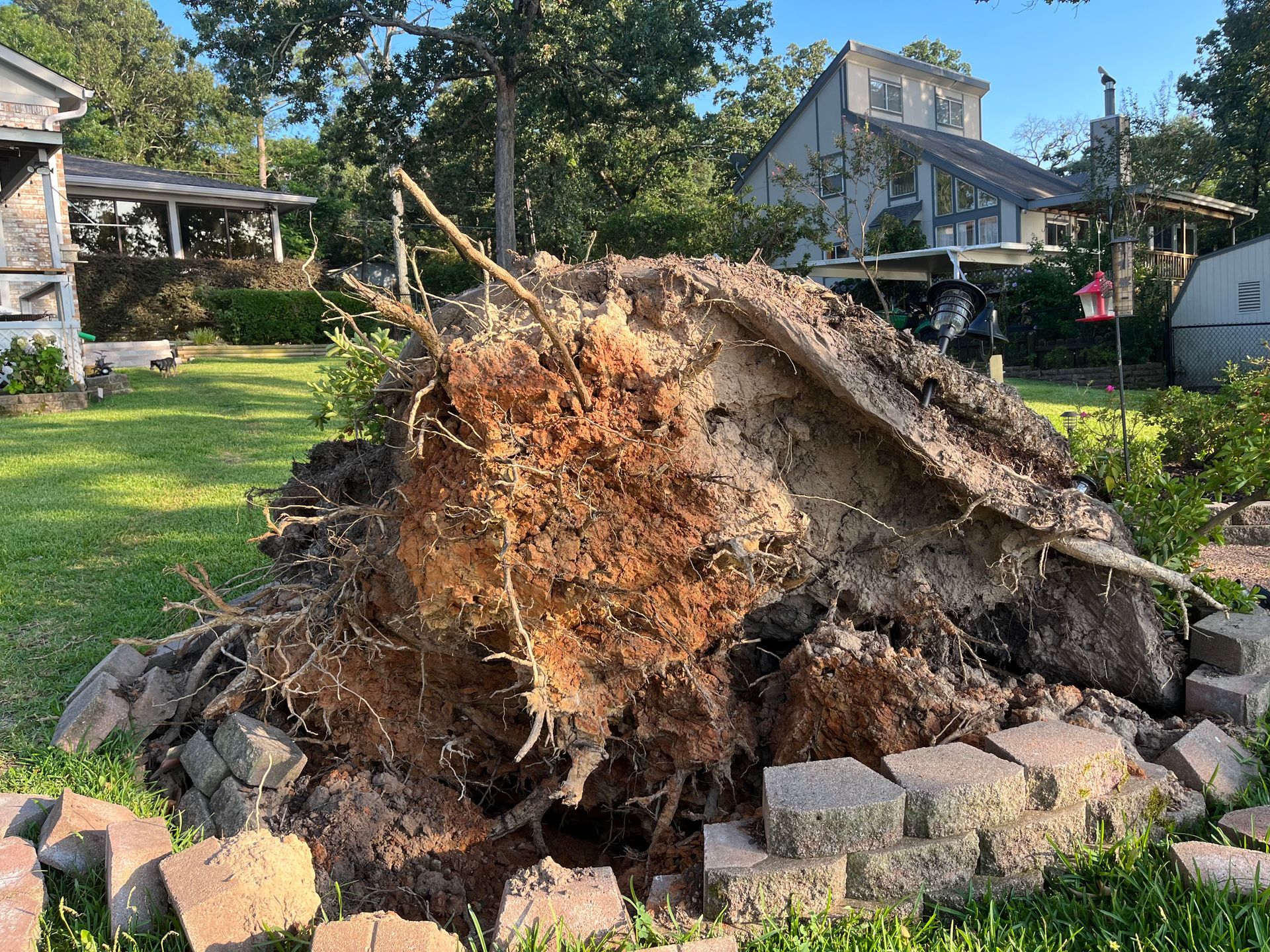 A large tree stump is sitting on top of a pile of bricks in a yard.