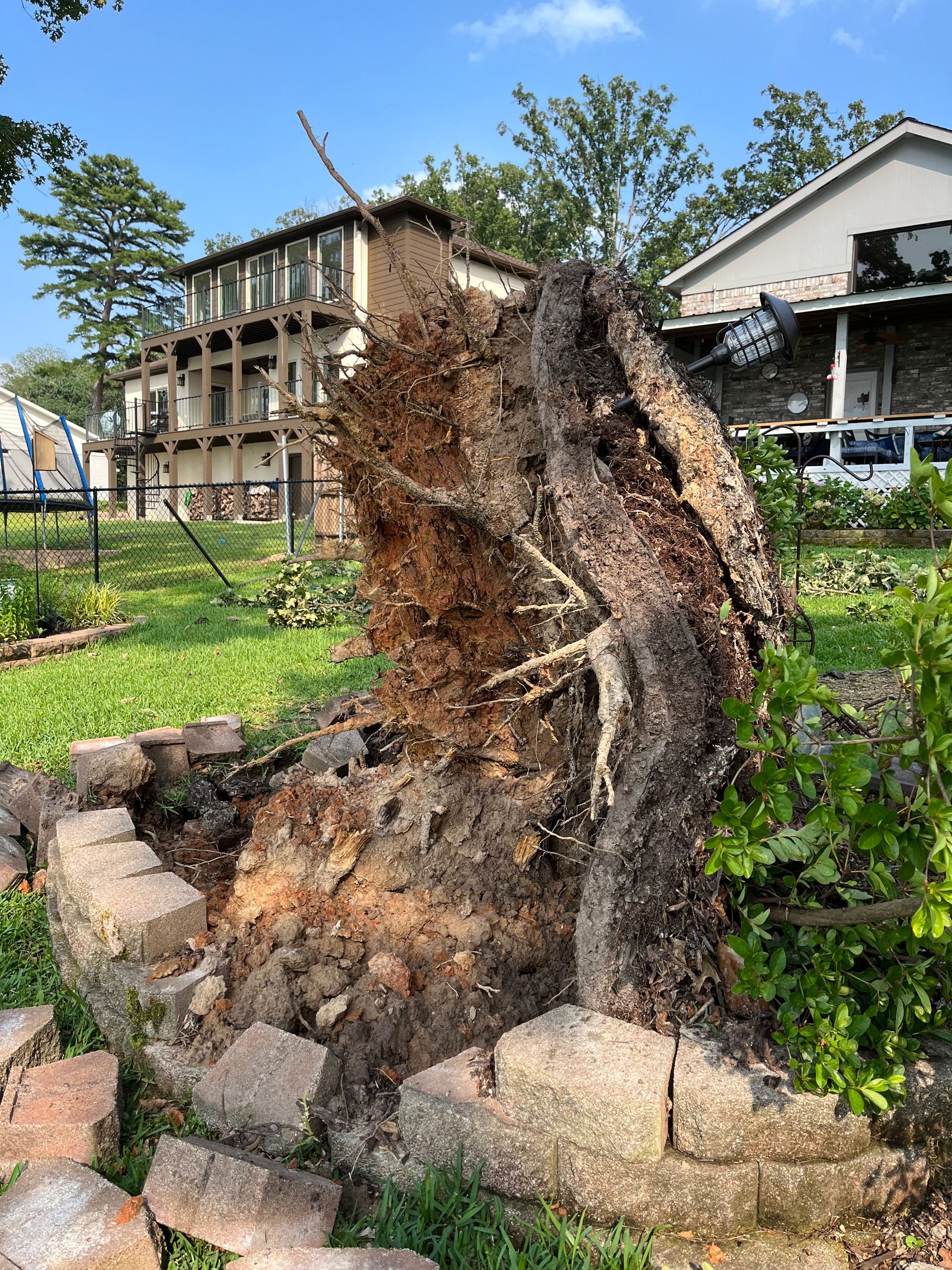 A large tree stump is sitting in the grass in front of a house.