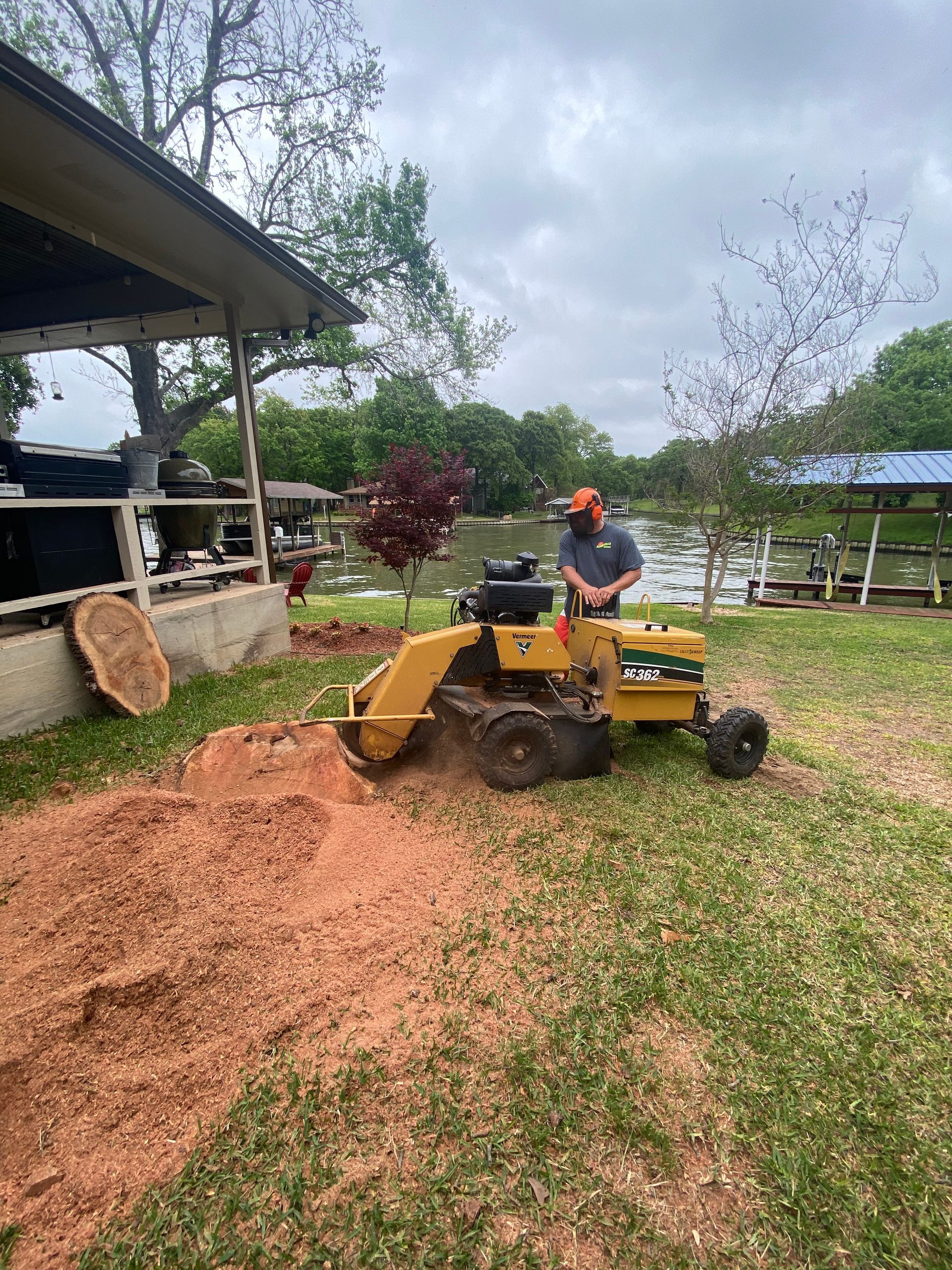 A man is using a stump grinder to remove a tree stump.