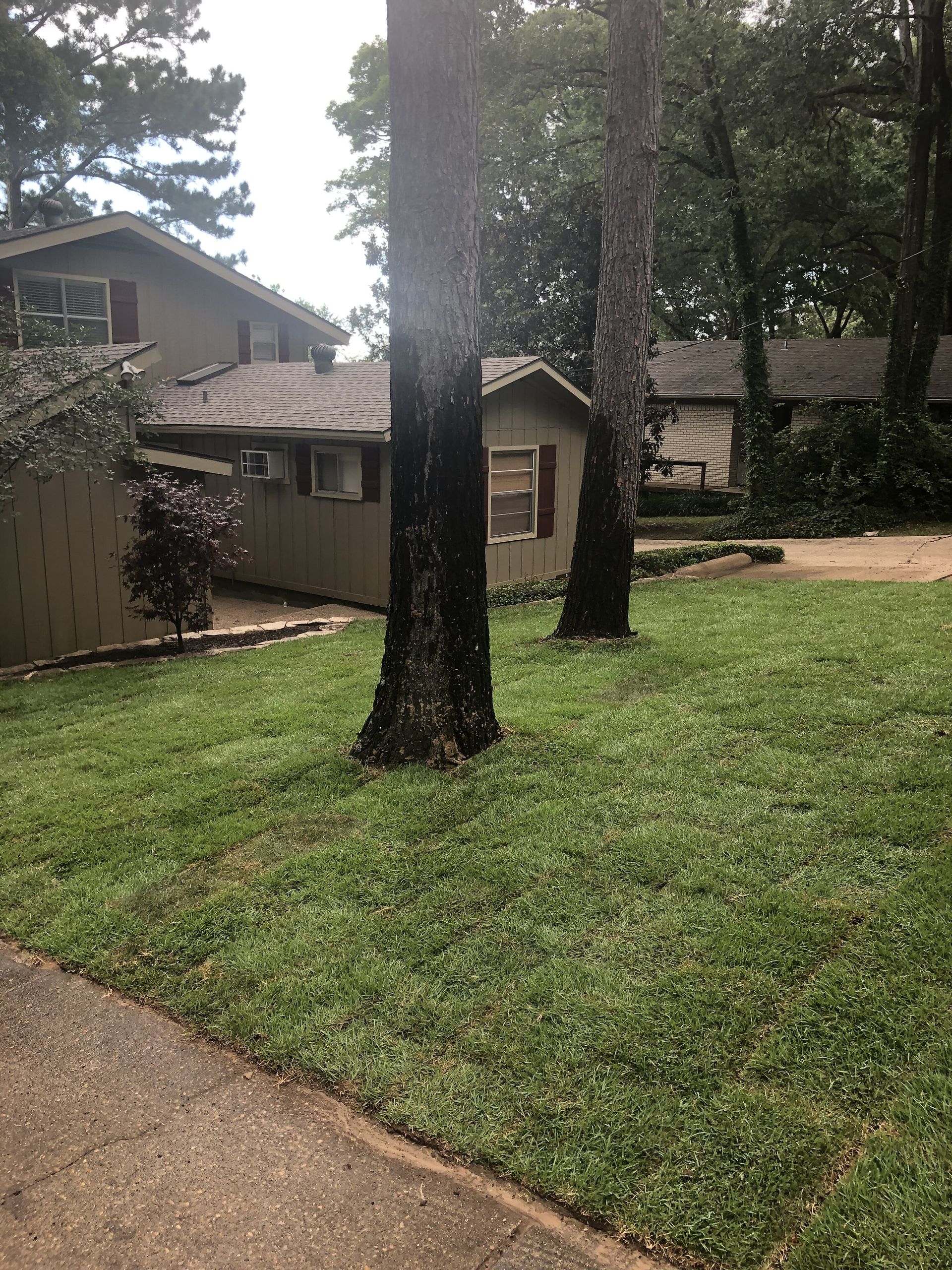 A house with a lot of grass and trees in front of it