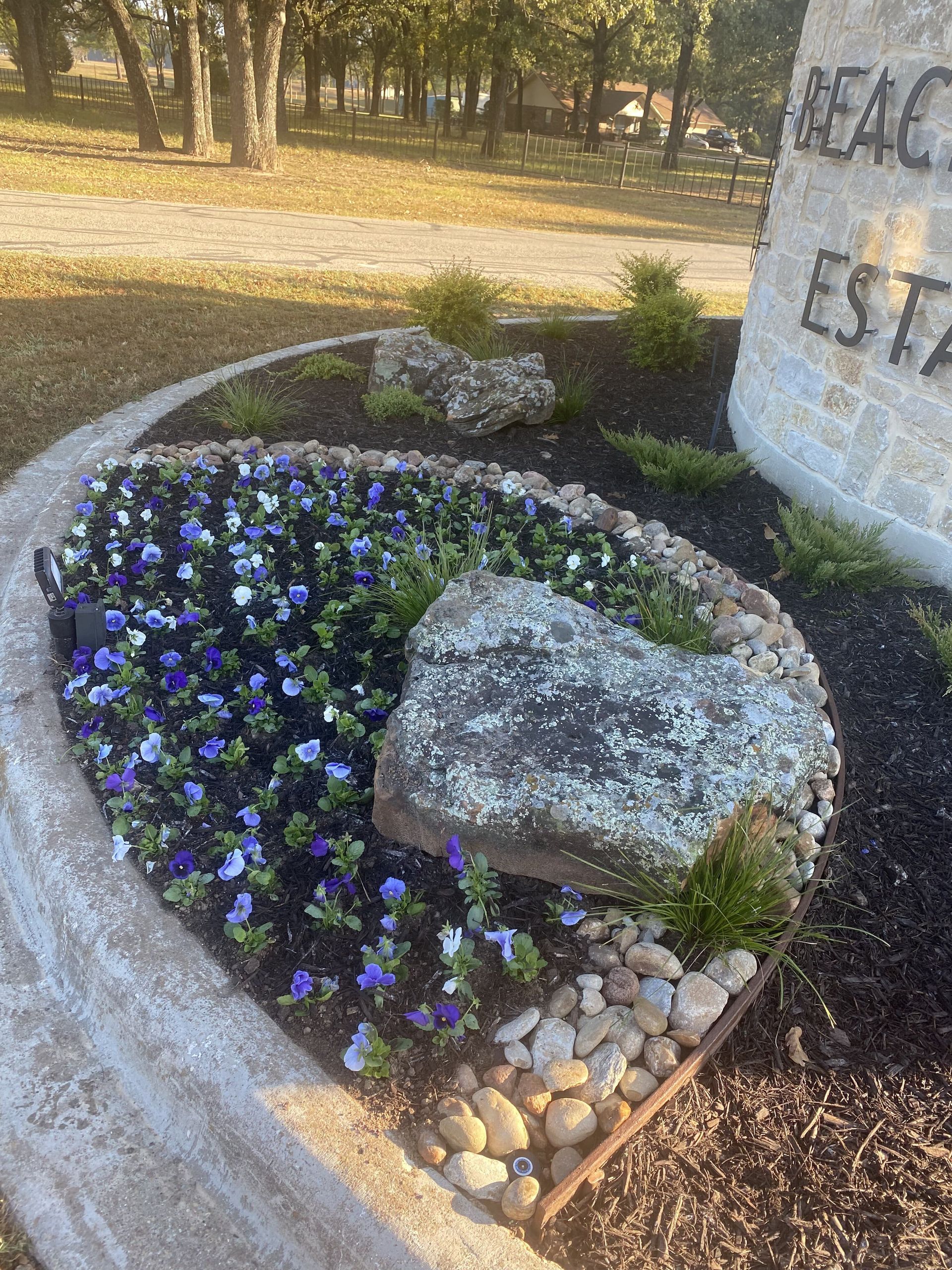 A garden with purple flowers and rocks in front of a sign.