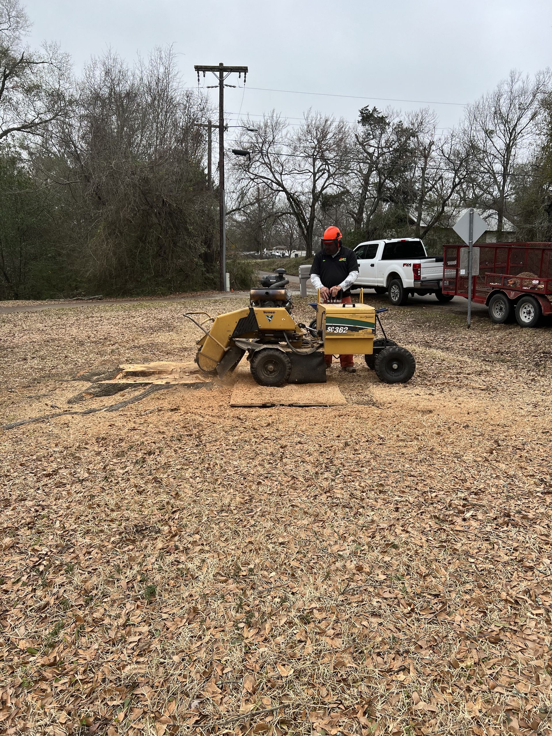 A man is using a stump grinder to remove a tree stump.