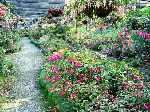 Weald View Gardens Display at this time of year