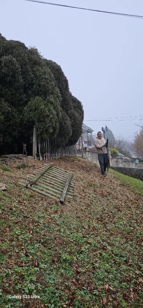 Person walking on a grassy hill with trees and a fallen fence; overcast sky.