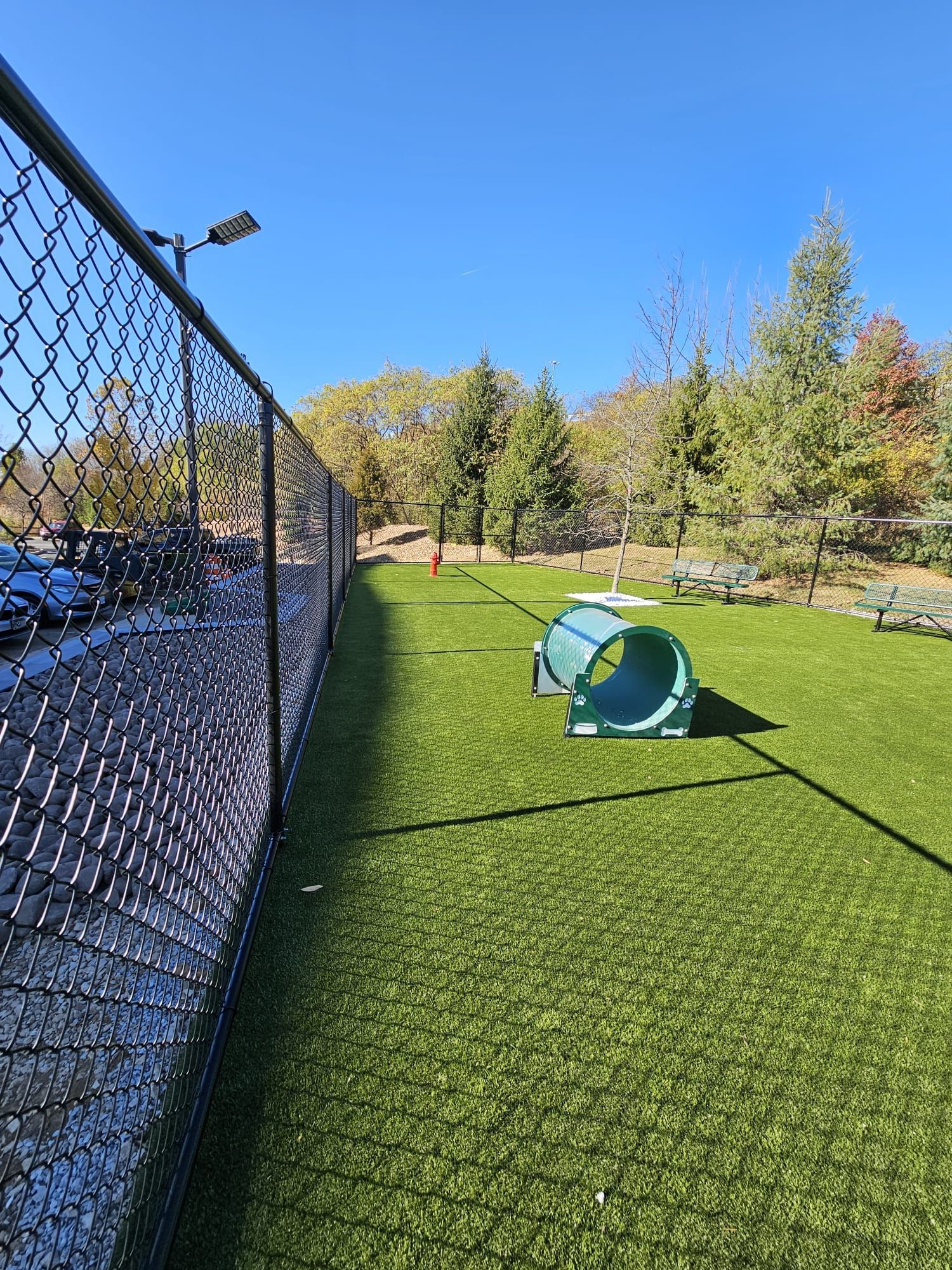 A chain-link fence in a yard with leaves, trees, and a post.
