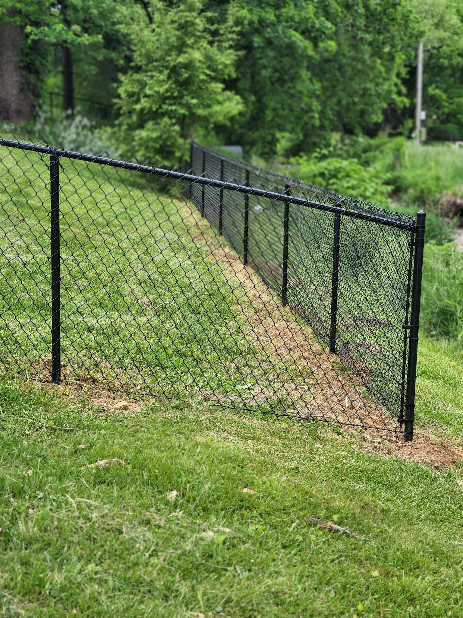 Black chain-link fence on a grassy hill, with trees in the background.