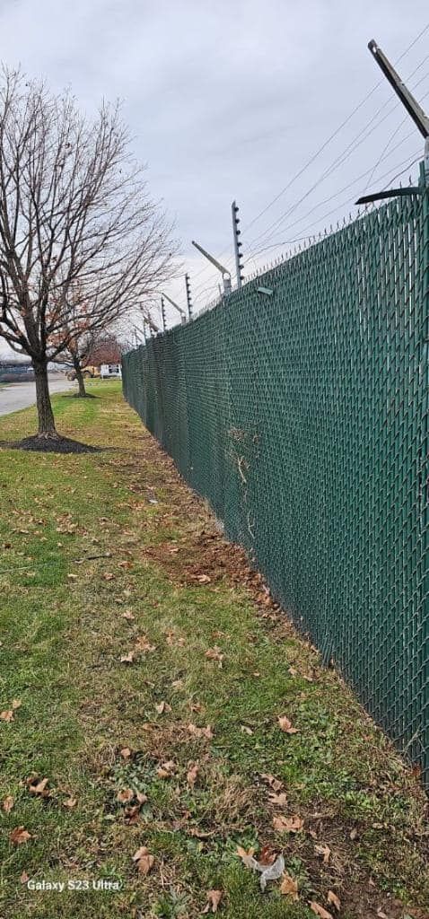A chain-link fence with barbed wire on top, and a bare tree next to it on a grassy verge under a cloudy sky.