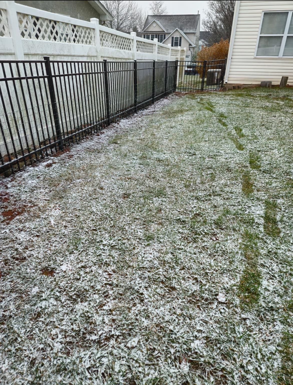Snow-covered backyard with black metal fence and white lattice fence.
