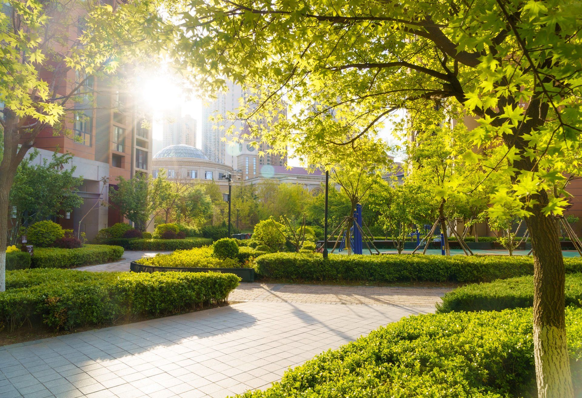 Park with Trees — Petal, MS — Dayon Tree Service Inc.