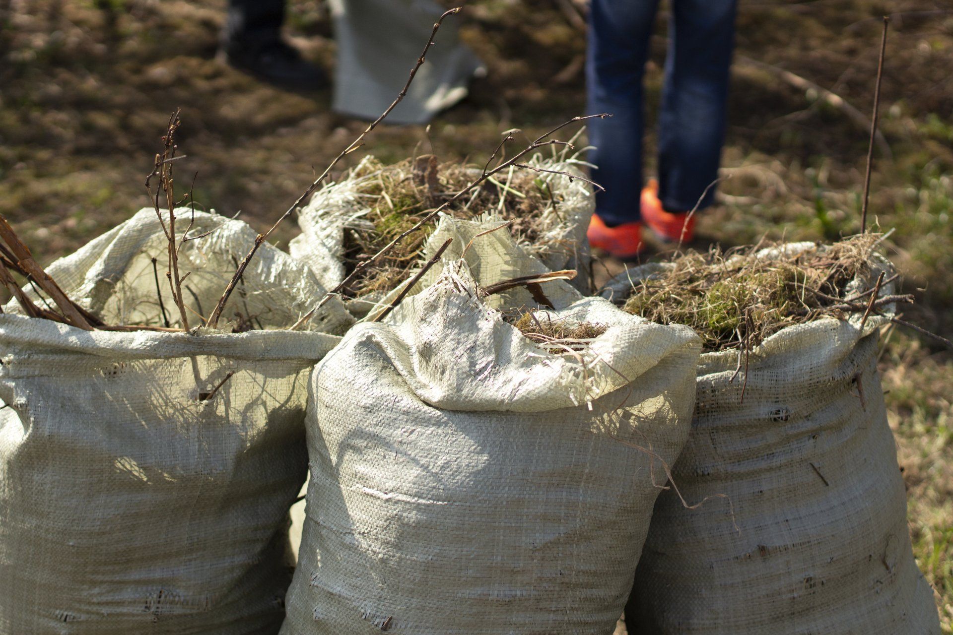Backyard Debris Removal — Petal, MS — Dayon Tree Service Inc.
