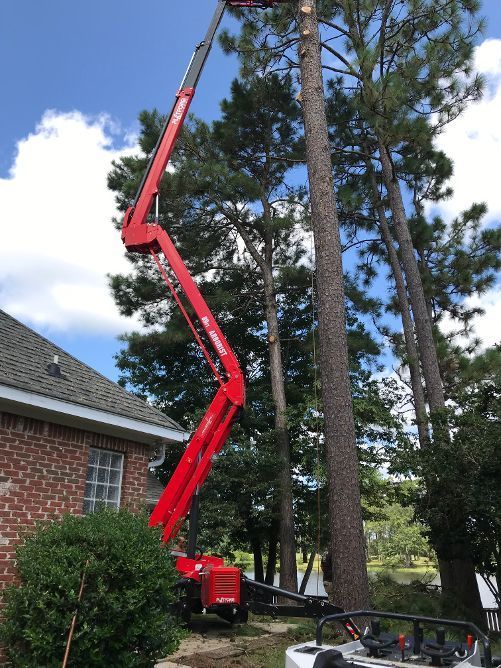 Removing Residential Trees — Petal, MS — Dayon Tree Service Inc.