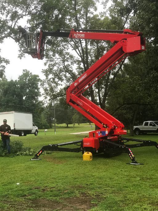 Man Cutting Trees Using Tree Excavator — Petal, MS — Dayon Tree Service Inc.
