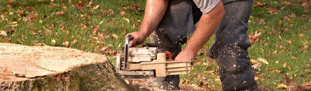 Man Working Tree Stump — Petal, MS — Dayon Tree Service Inc.