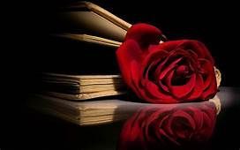 Red rose resting on a stack of old books, dark setting with reflection.