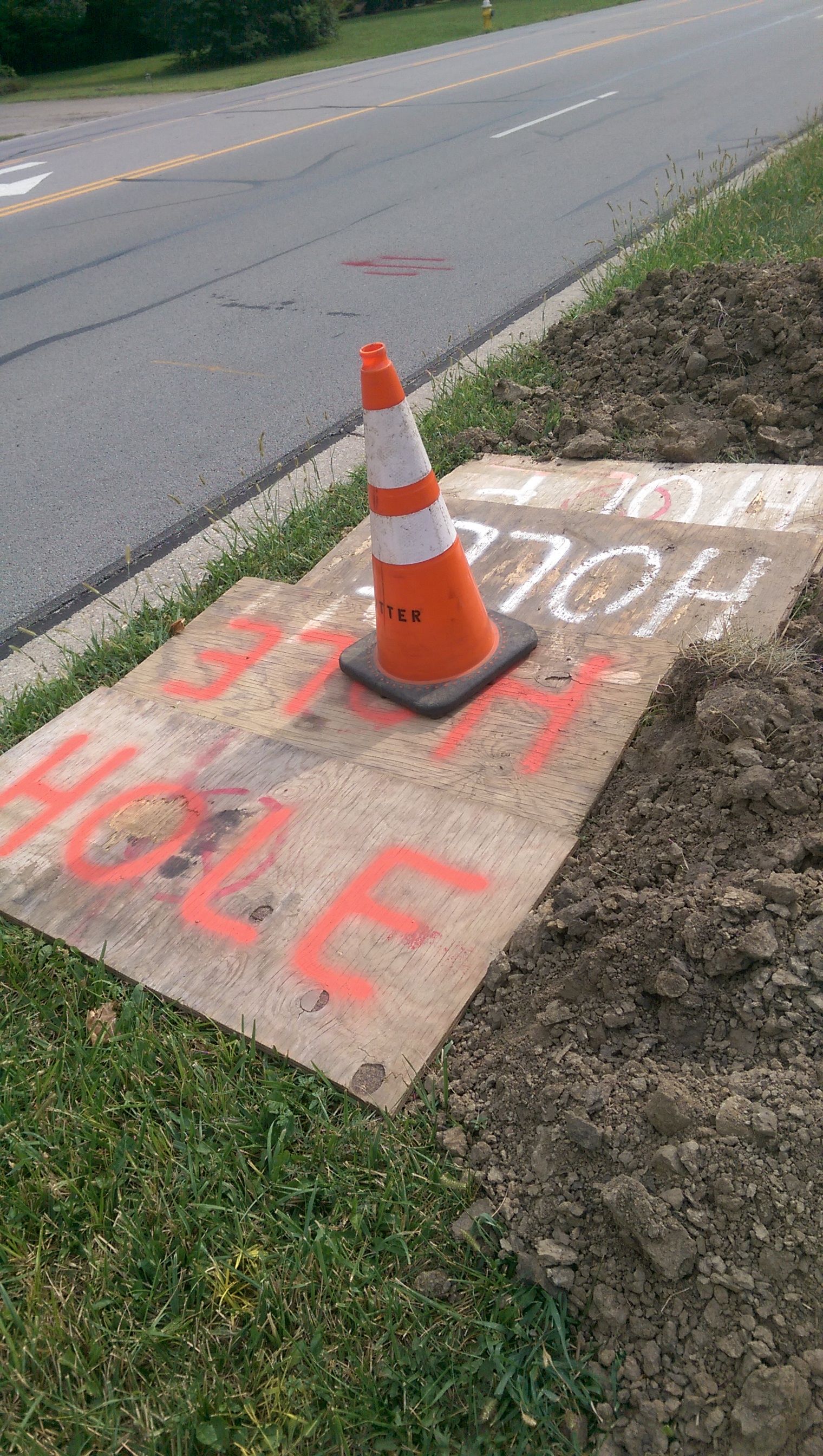 Orange traffic cone on a plywood cover over a hole beside a road. The words 