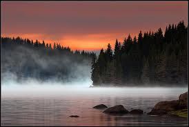Mist rises over a calm lake at dawn, bordered by dark evergreen trees and a vibrant orange and red sky.