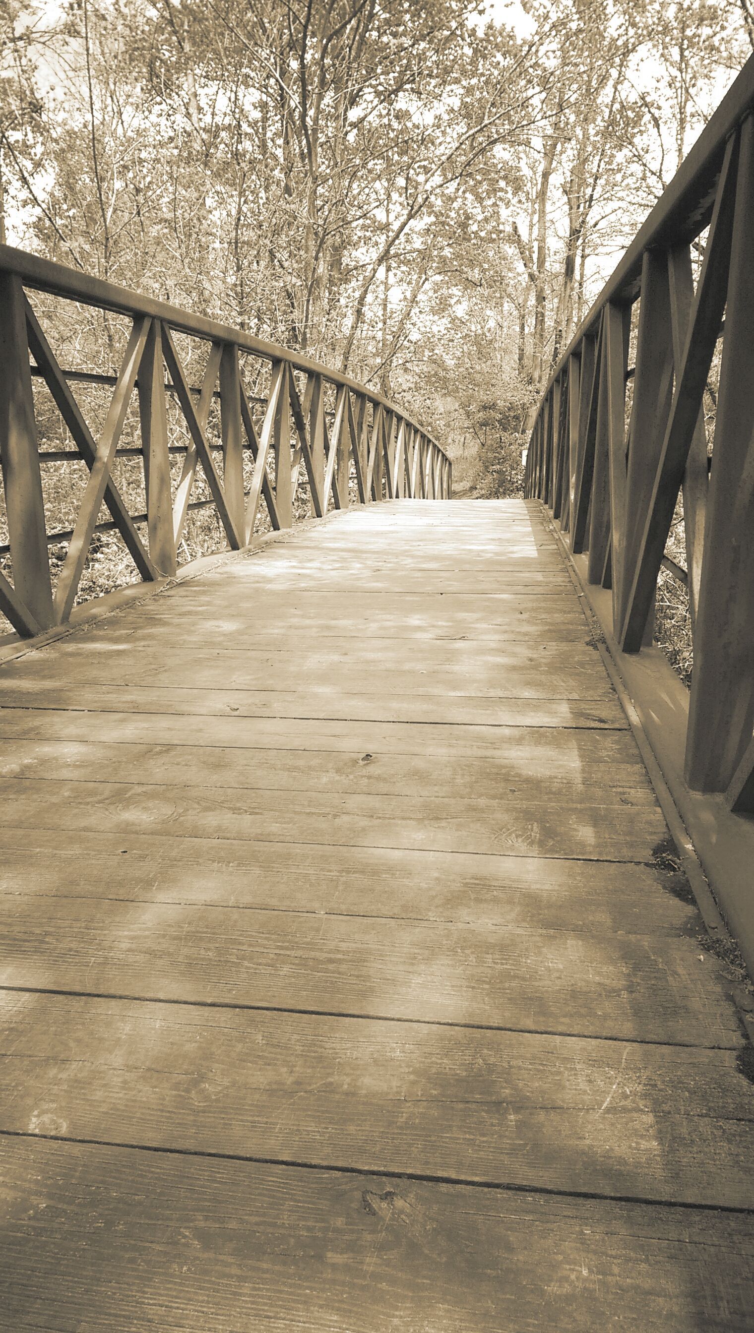 Wooden bridge arching over an unseen feature, surrounded by trees. Sepia-toned.