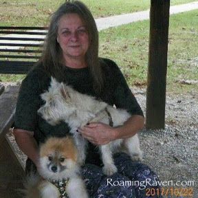 Woman sitting with two dogs outdoors.