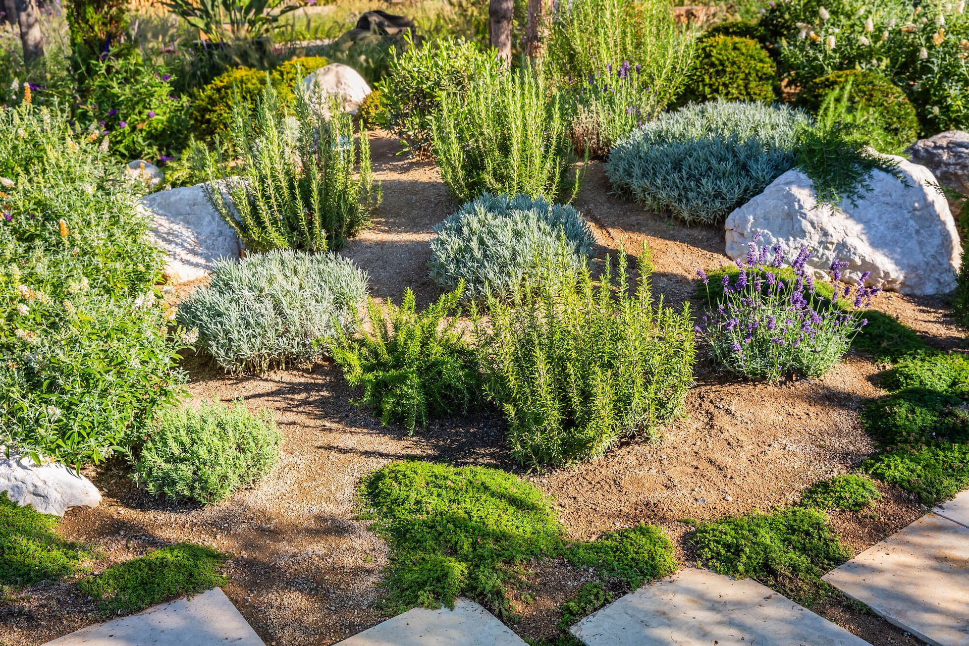 fertilization service for brea landscaping