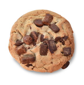 A close up of a chocolate chip cookie on a white background