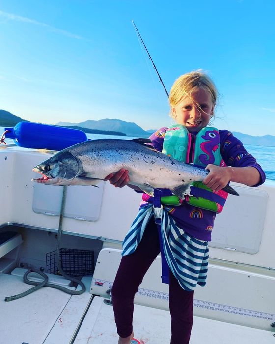 Orcas with dorsal fins visible, swimming in blue ocean waters.