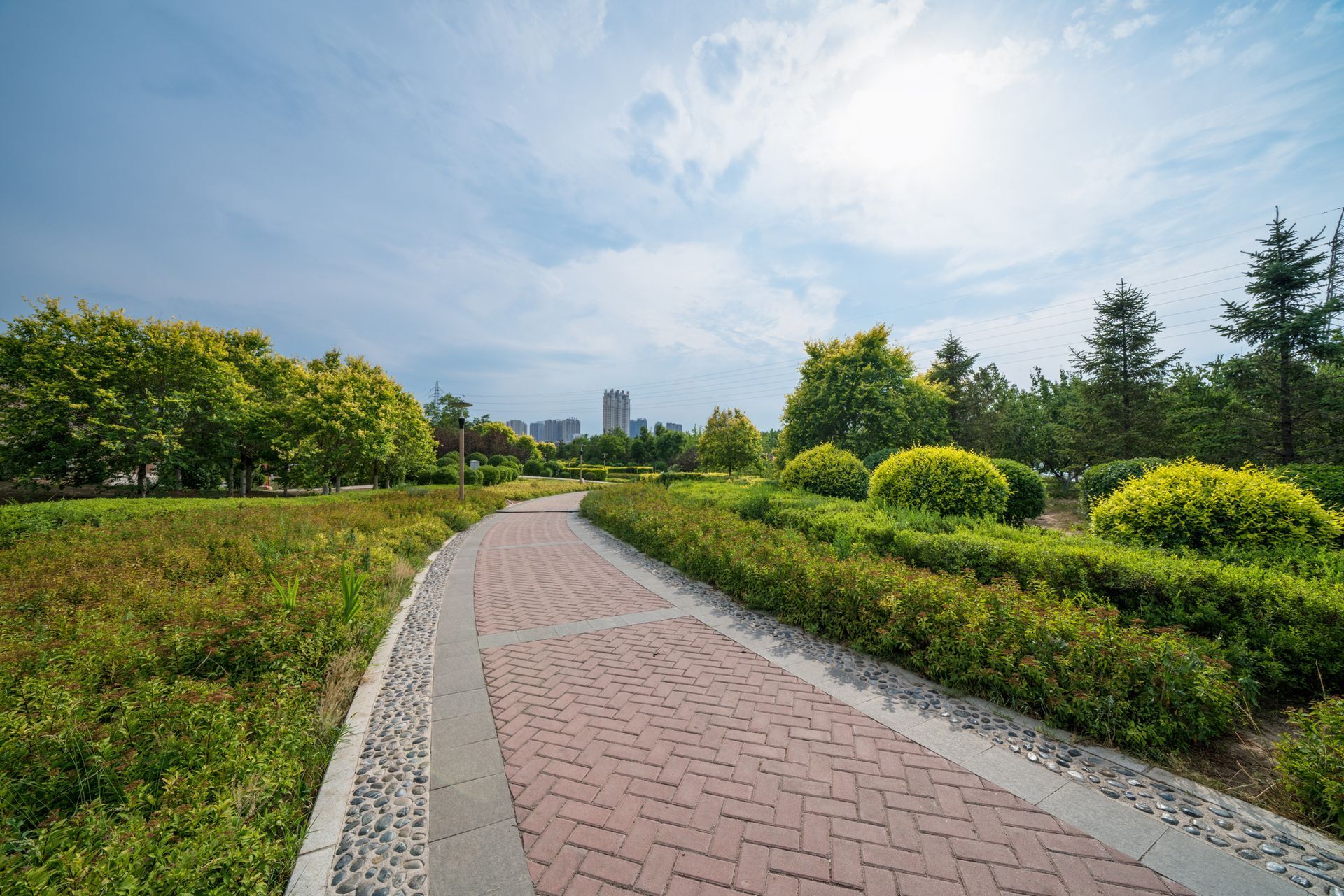 Brick path winds through a sunny park, lined with green bushes and trees.