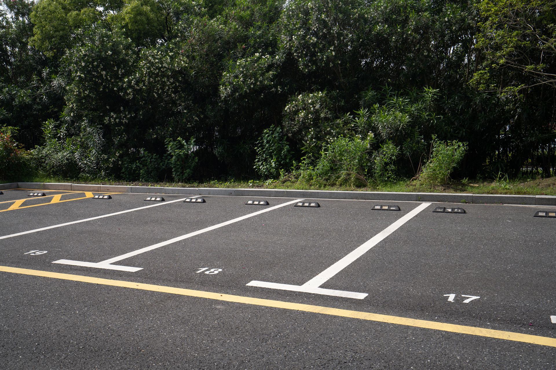 Parking spaces marked with white lines and parking stops, with trees in the background.
